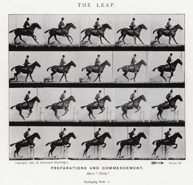 Eadweard Muybridge : Le Saut - Eadweard Muybridge