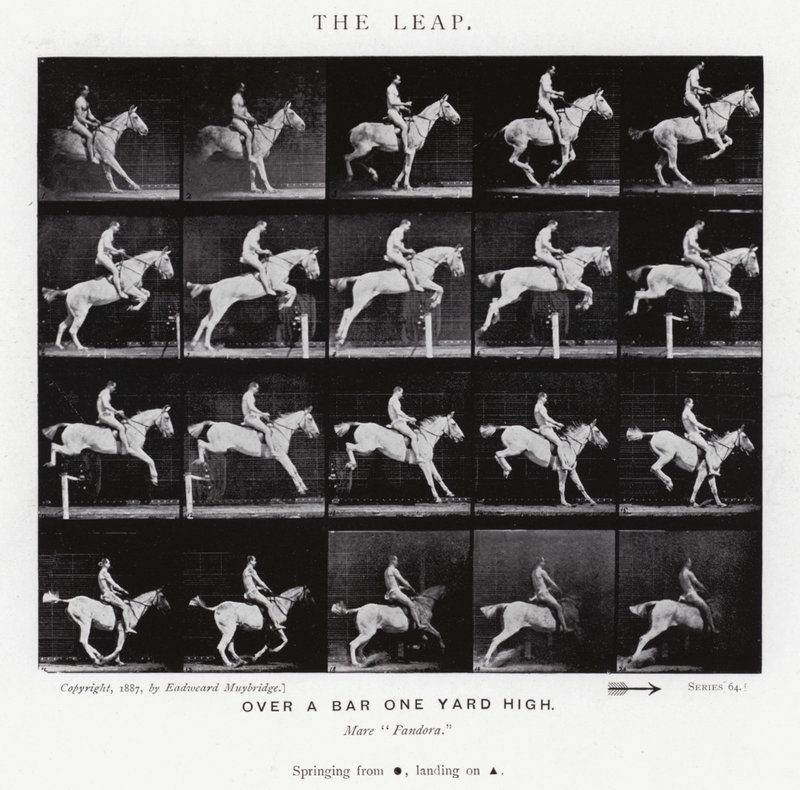 Eadweard Muybridge : Le Saut (photo n/b) - Eadweard Muybridge