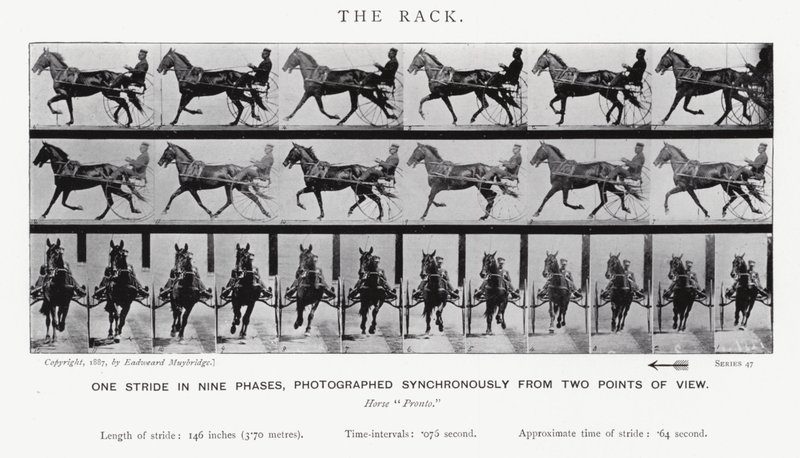 Le Galop - Eadweard Muybridge