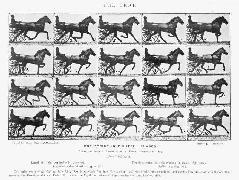 Le Trot - Eadweard Muybridge