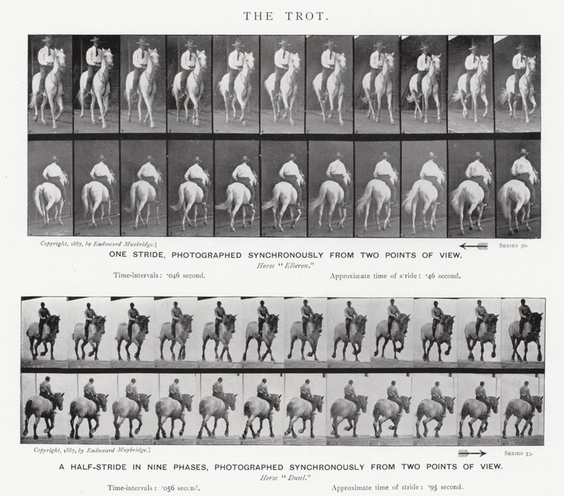 Le Trot - Eadweard Muybridge