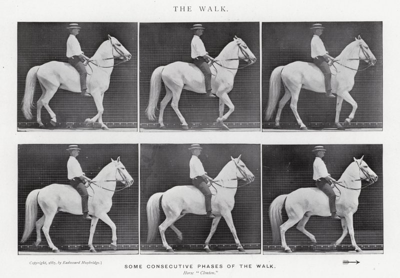 Eadweard Muybridge : La Marche - Eadweard Muybridge