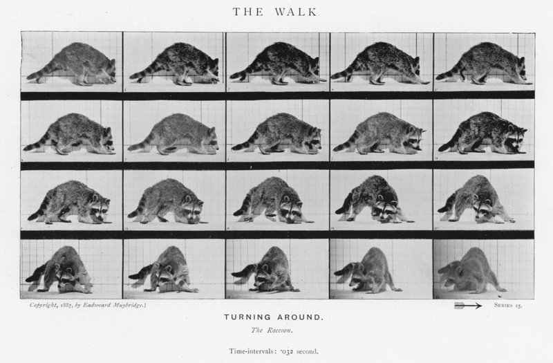 La Marche - Eadweard Muybridge