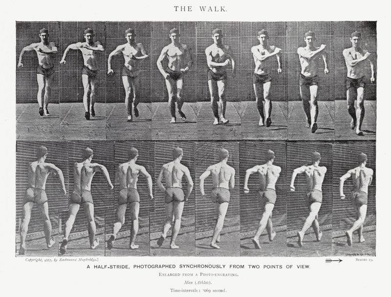 La Marche - Eadweard Muybridge