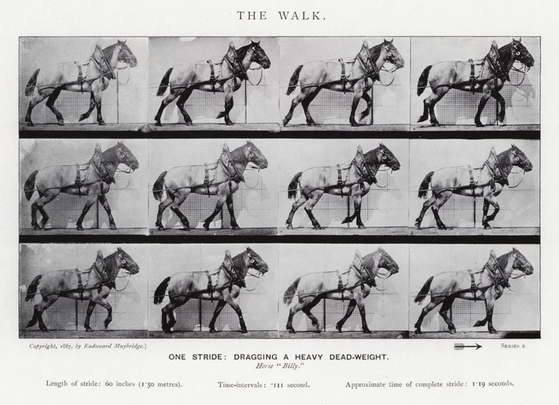 La Marche - Eadweard Muybridge