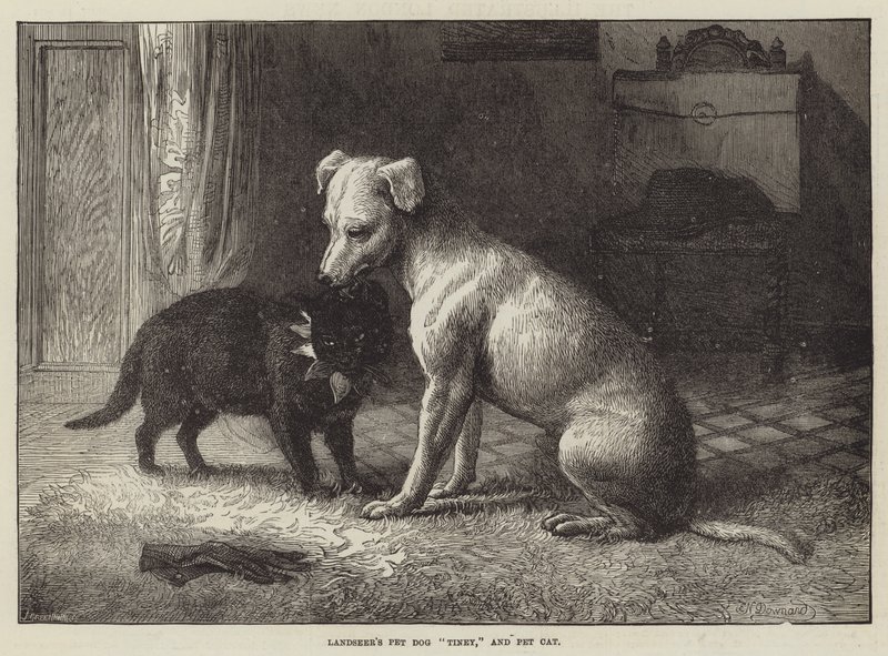 Le chien de compagnie de Landseer, Tiney, et le chat de compagnie - Ebenezer Newman Downard
