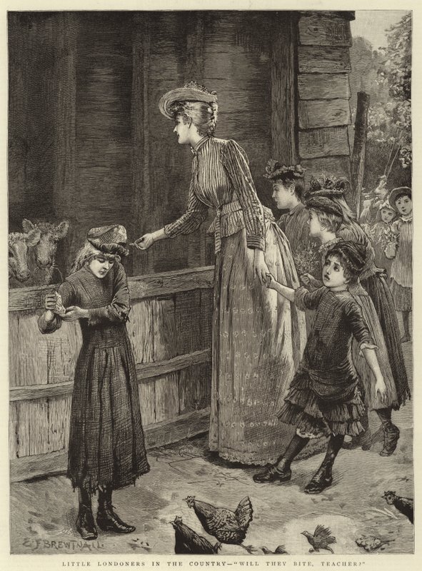 Petits Londoniens à la campagne, vont-ils mordre, professeur - Edward Frederick Brewtnall
