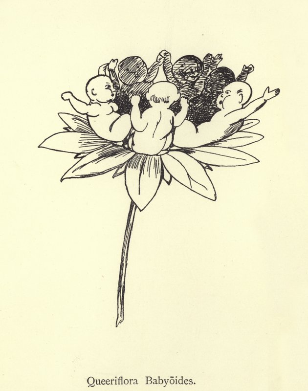 Queeriflora Babyoides - Edward Lear