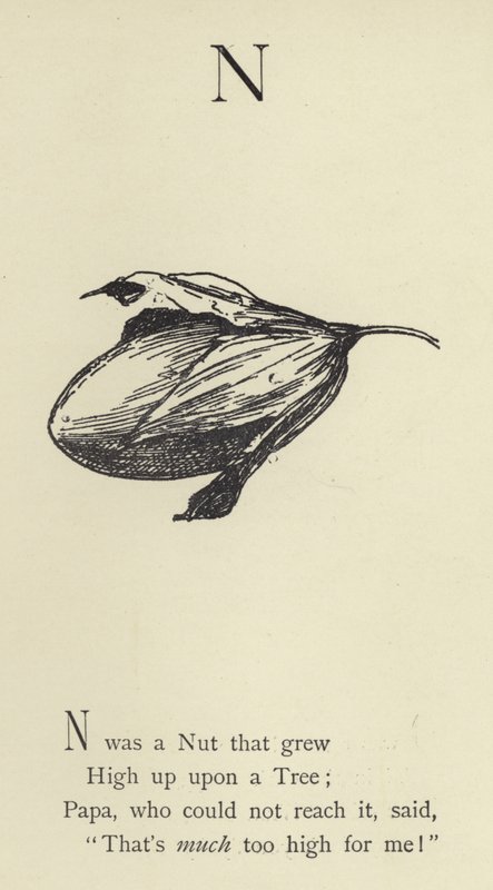 La lettre N - Edward Lear