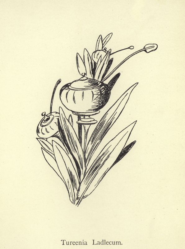 Tureenia Ladlecum - Edward Lear