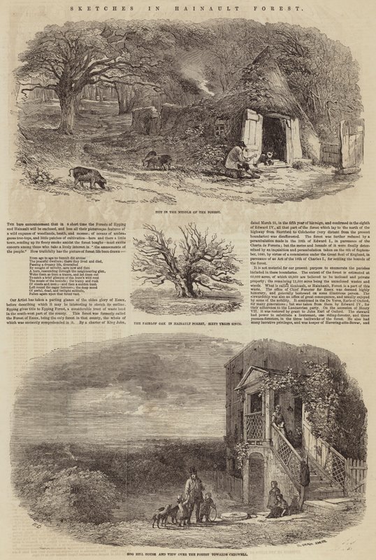 Croquis dans la forêt de Hainault - Edward Duncan