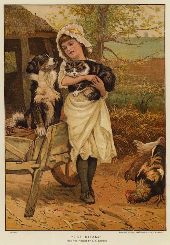 Les rivaux - Edward Killingworth Johnson