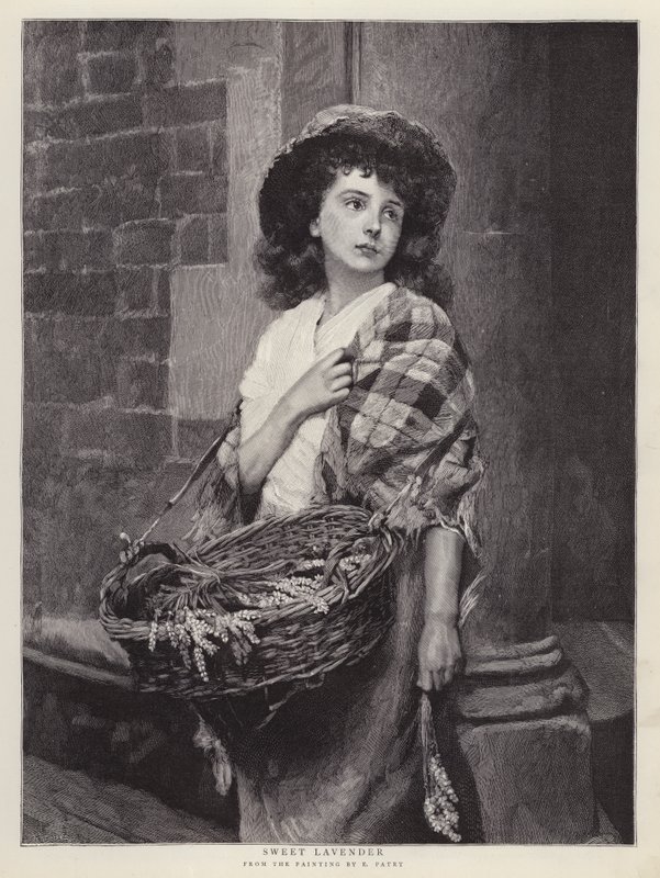 Douce Lavande - Edward Patry