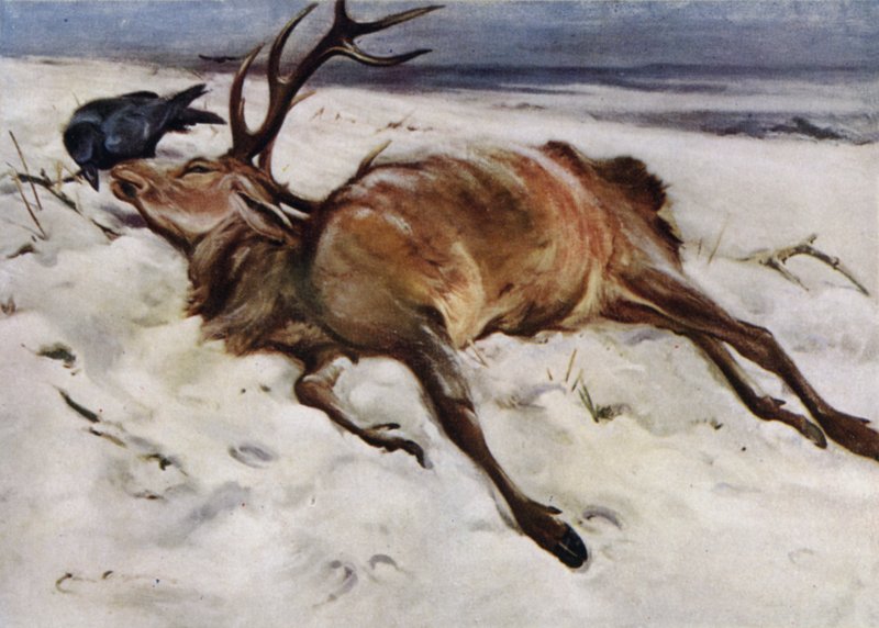 Le Cerf Mort - Edwin John Alexander