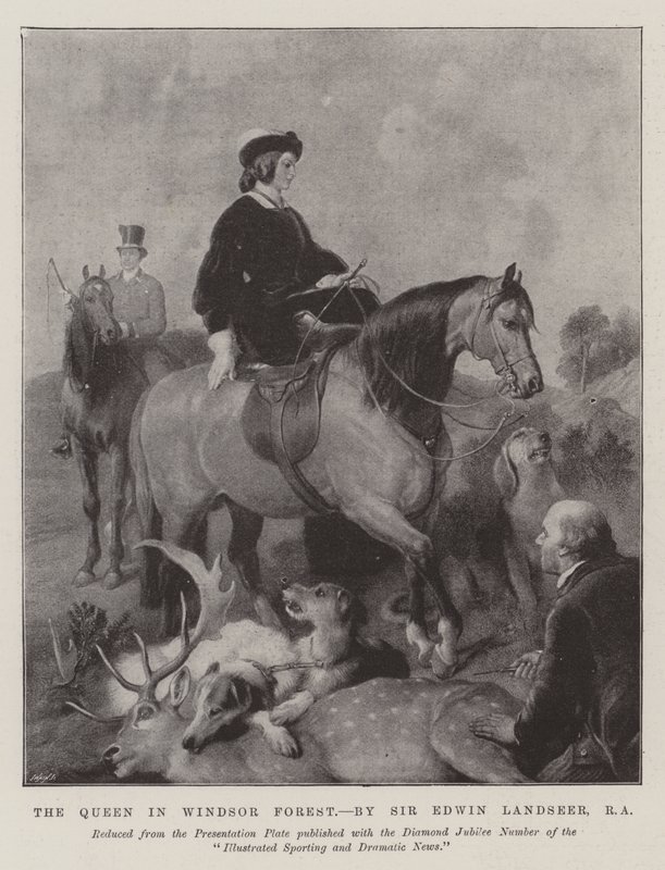 La Reine dans la forêt de Windsor - Edwin Landseer