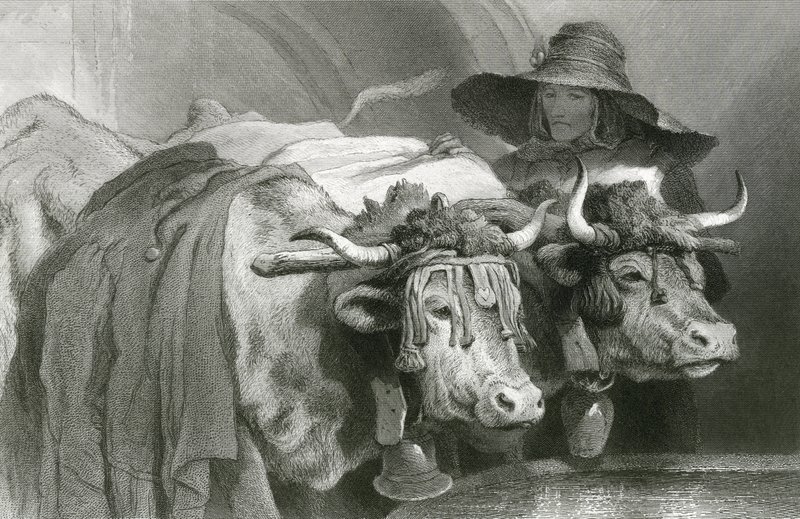 Bœufs au réservoir, Genève (gravure) - Edwin (after) Landseer