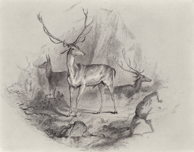 Dans la vallée - Edwin Landseer