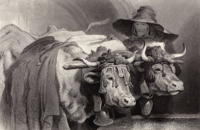 Bœufs au réservoir, Genève, Suisse - Edwin Landseer