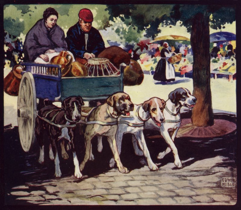 Un dog-cart français - Edwin Noble