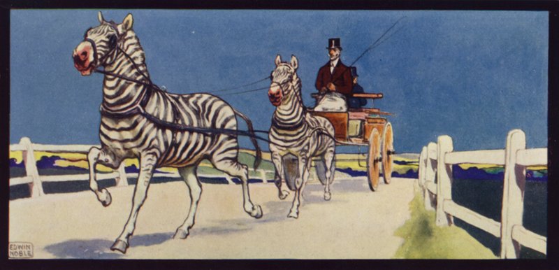 Conduite de zèbres, tandem - Edwin Noble