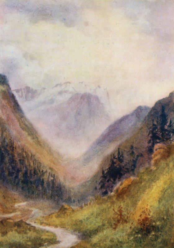 Suisse - Effie Jardine