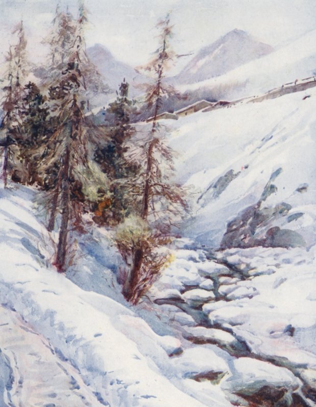 Suisse - Effie Jardine