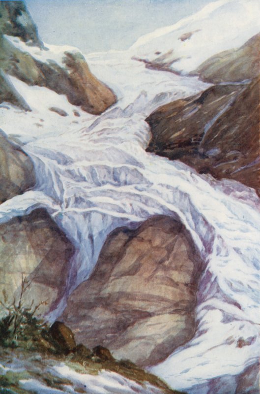 Suisse - Effie Jardine