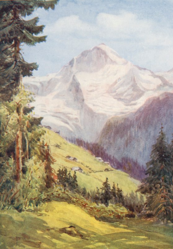 Suisse - Effie Jardine