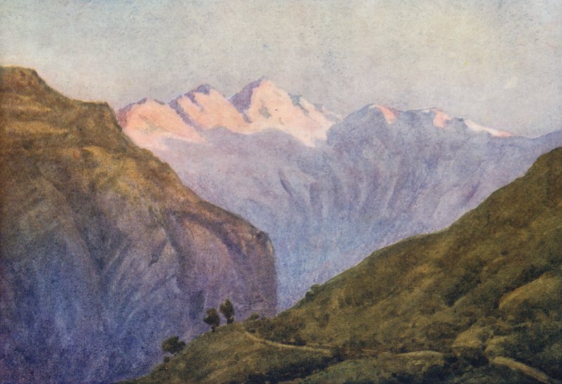 Suisse - Effie Jardine