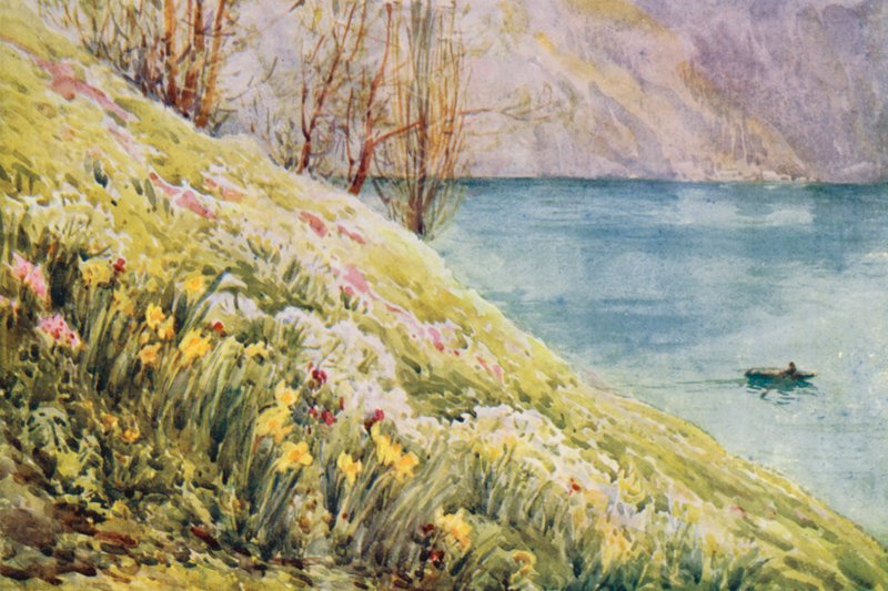 Suisse - Effie Jardine