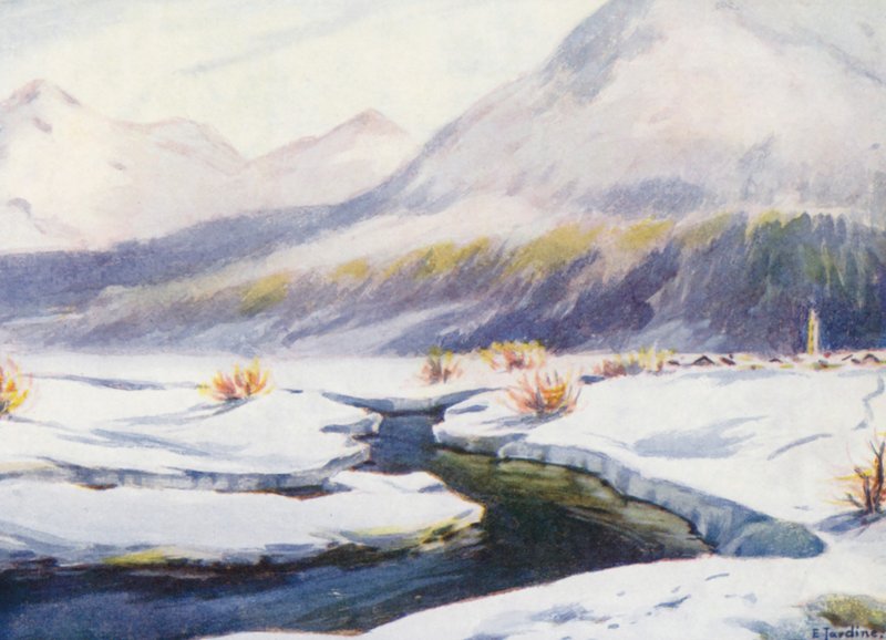 Suisse - Effie Jardine