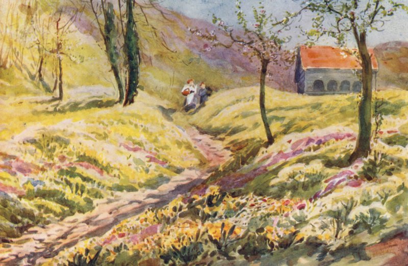 Suisse - Effie Jardine