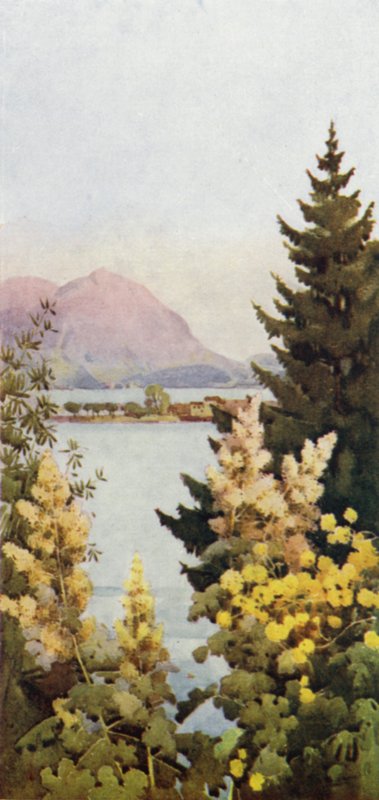 Un jardin - Ella Du Cane
