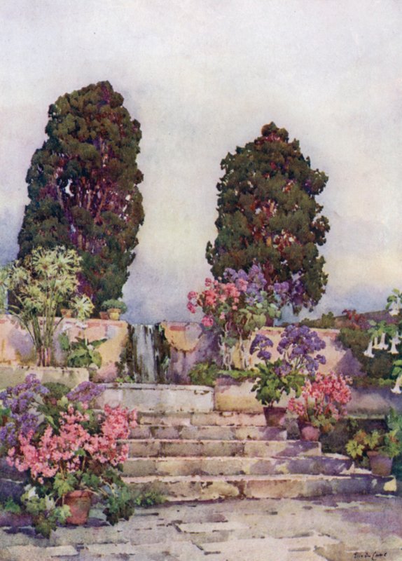 Jardins botaniques, Orotava - Ella Du Cane