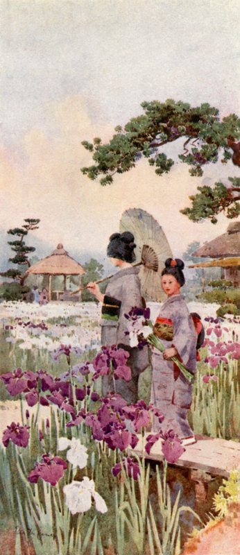 Iris, Horikiri - Ella Du Cane