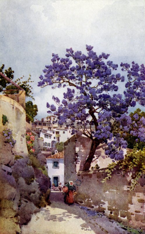 Arbre de jacaranda (lithographie en couleur) - Ella Du Cane