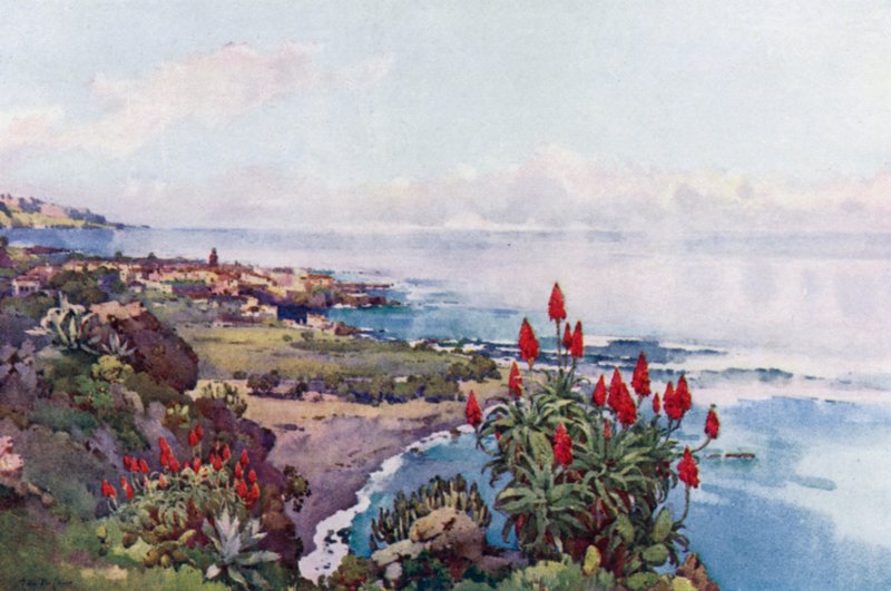 Puerto Orotava - Ella Du Cane
