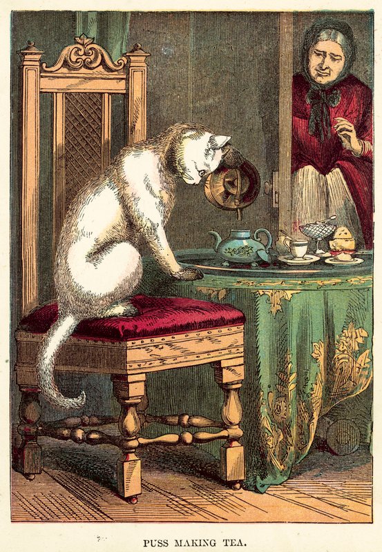 Le Chat prépare du thé - English School