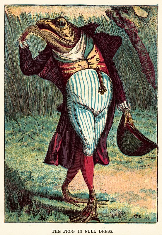 La grenouille en grande tenue - English School