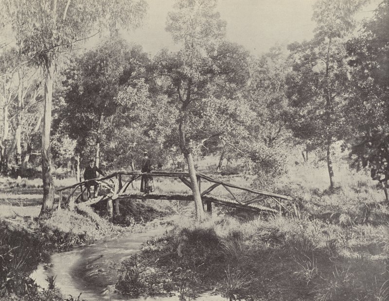 Un pont rustique, réserve d