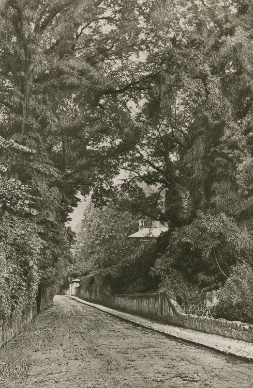 Bonchurch Road, Île de Wight - English Photographer