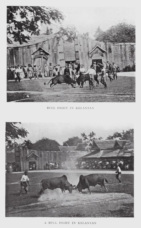 Corrida à Kelantan - English Photographer