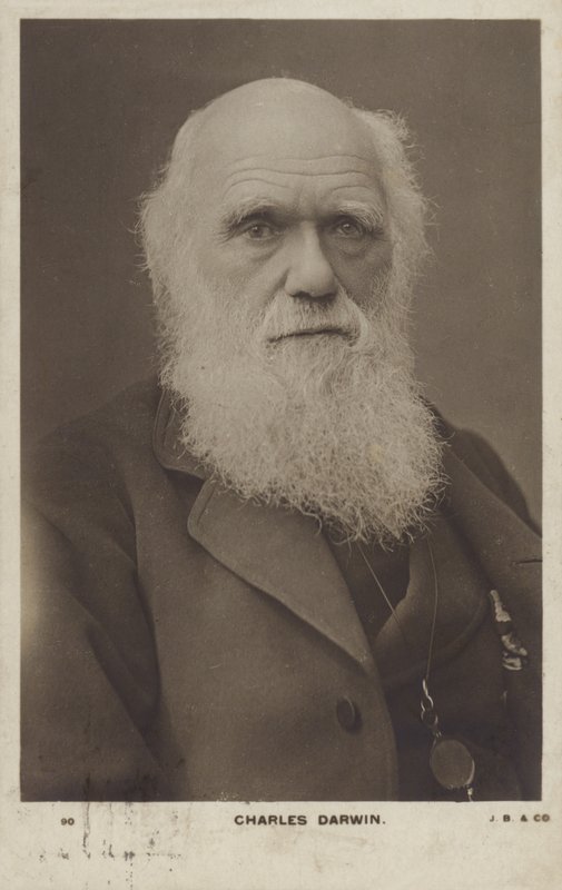 Charles Darwin (1809-1882), naturaliste anglais - English Photographer