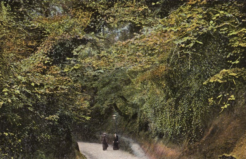 Chine Creuse, Shanklin - English Photographer