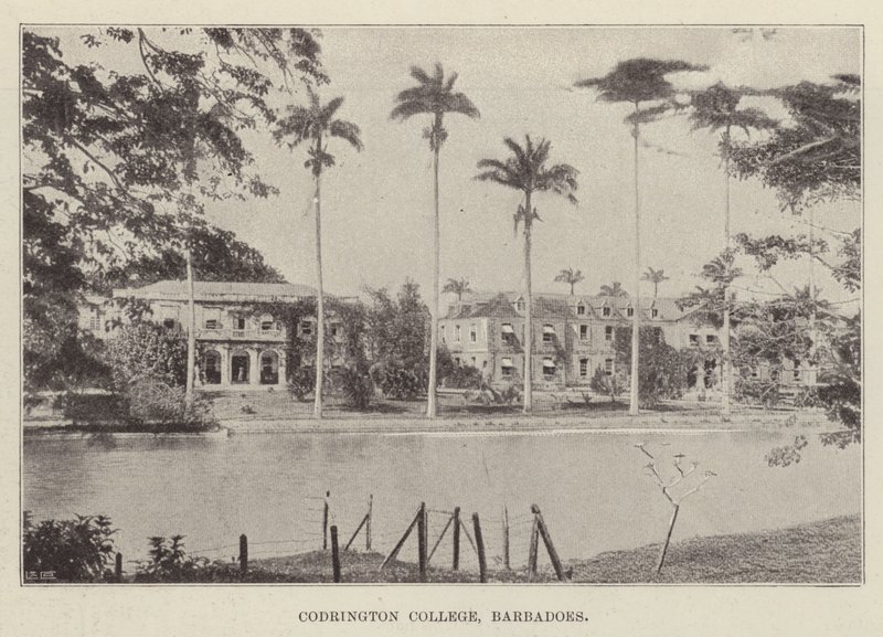 Collège Codrington, Barbade - English Photographer