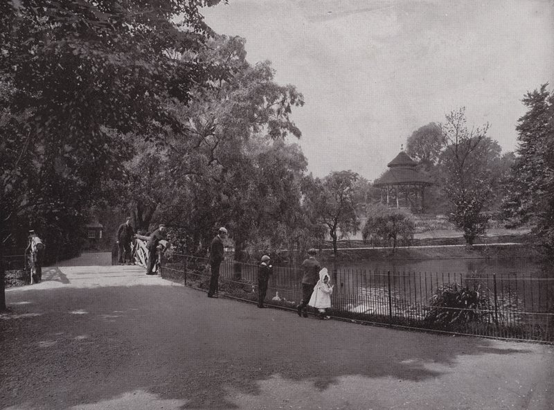 Dans le parc Waterlow, Highgate - English Photographer