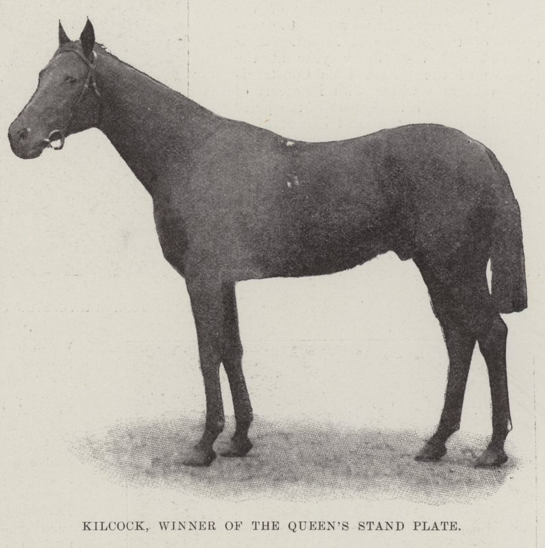Kilcock, vainqueur de la Queens Stand Plate - English Photographer