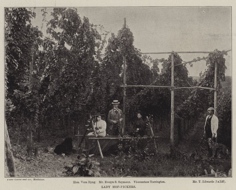 Dames cueilleuses de houblon - English Photographer