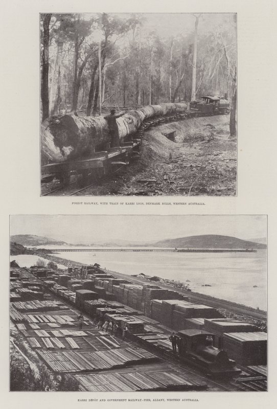Exploitation forestière en Australie - English Photographer