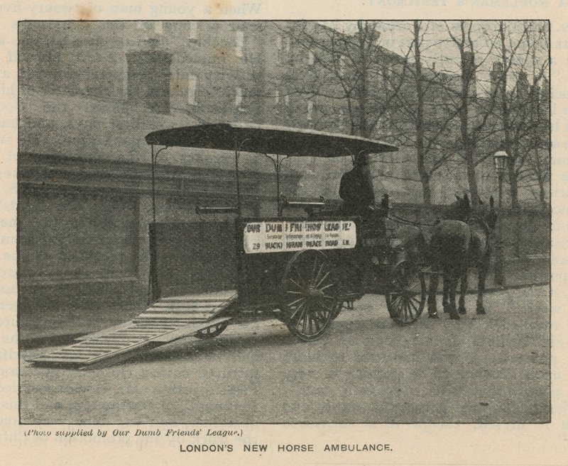 La nouvelle ambulance pour chevaux de Londres - English Photographer
